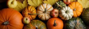 fall colors and pumpkins