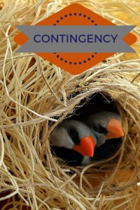 DO WE ACCEPT CONTINGENCY OFFER