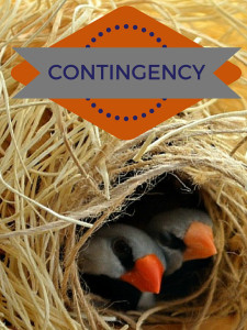 SHOULD YOU ACCEPT A CONTINGENCY OFFER