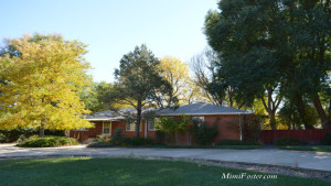 Skyway Mid-Century Modern home for sale