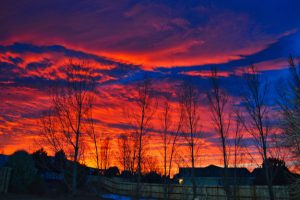 Sunrise Heights