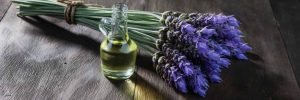 lavender essential oil