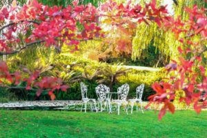 tips for selling your home peaceful backyard